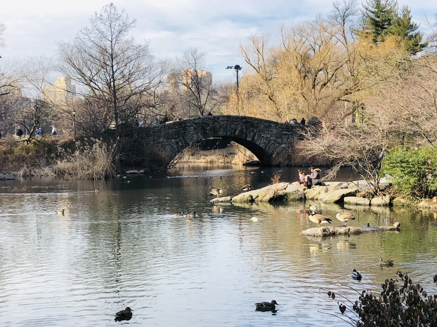 IMG_9419.jpg?type=w966