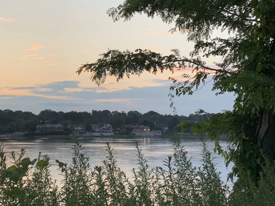 IMG_1186.jpg?type=w966