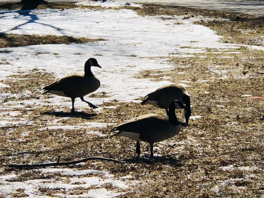 IMG_4642.jpg?type=w966