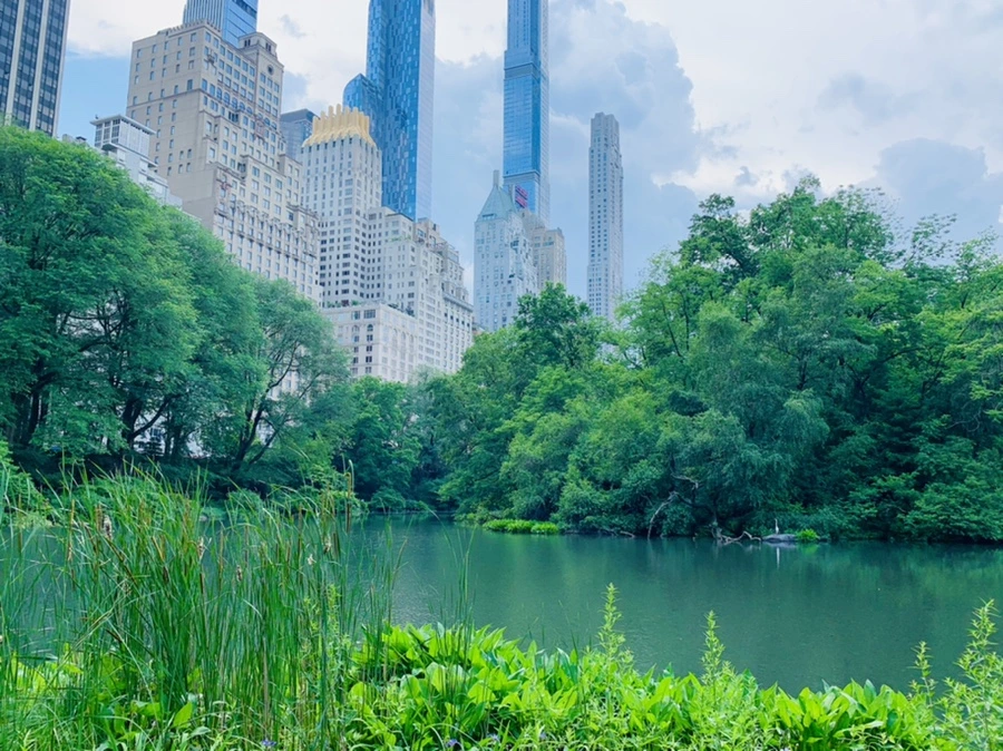 IMG_1630.jpg?type=w966