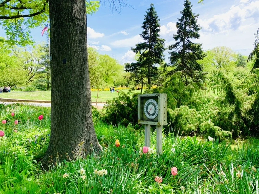 -nlXwkA3SwBzz9vmihc1qNX93ko