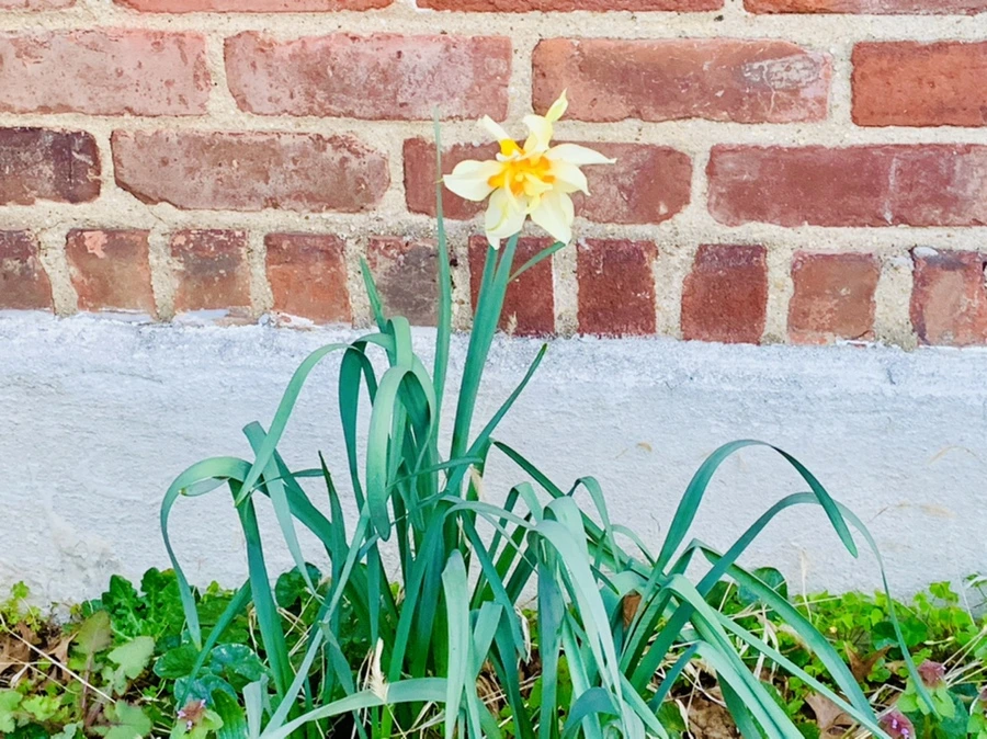 IMG_7424.jpg?type=w966