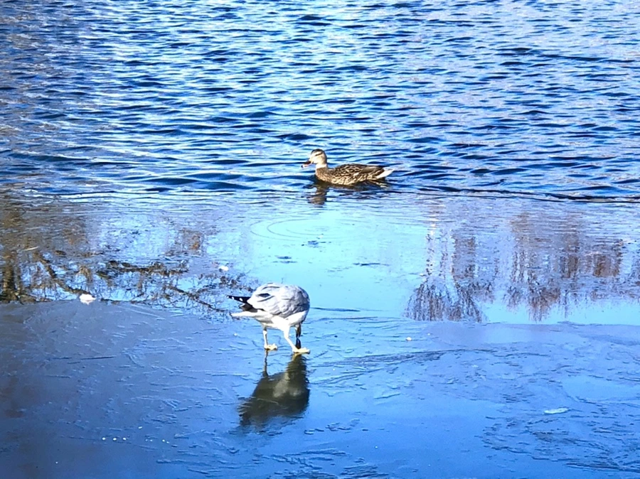 IMG_0578.jpg?type=w966