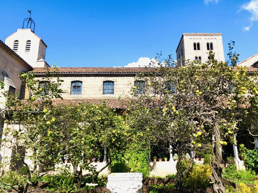 IMG_1461.jpg?type=w966