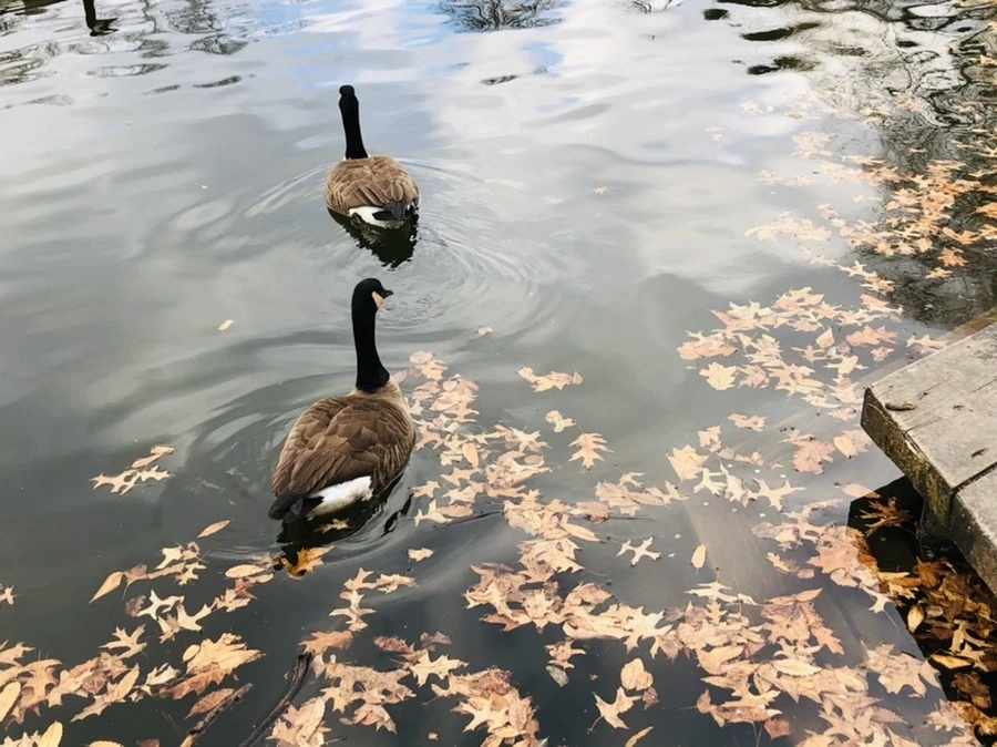 NK-bHH_tc4bEc3u9uMIjs-6YVc0