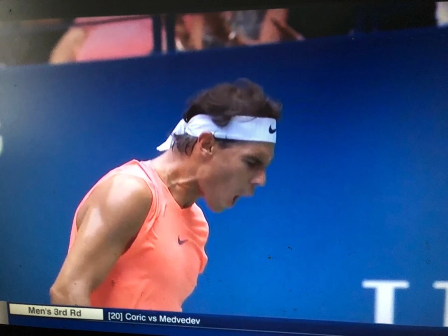 IMG_3625.jpg?type=w966