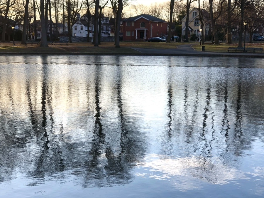 IMG_0920.jpg?type=w966