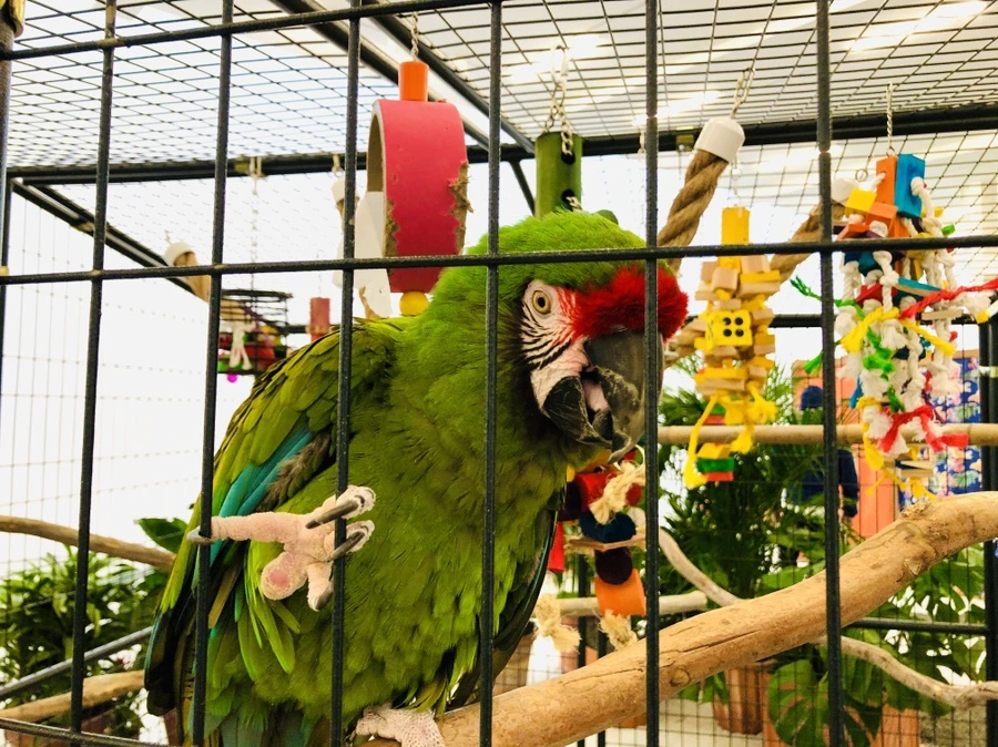 IMG_6712.jpg?type=w966