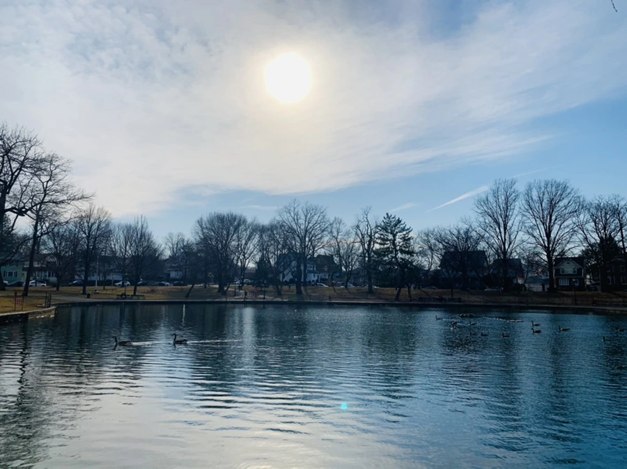 IMG_0330.jpg?type=w966