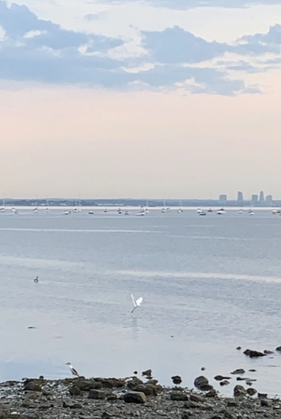 IMG_0660.jpg?type=w966