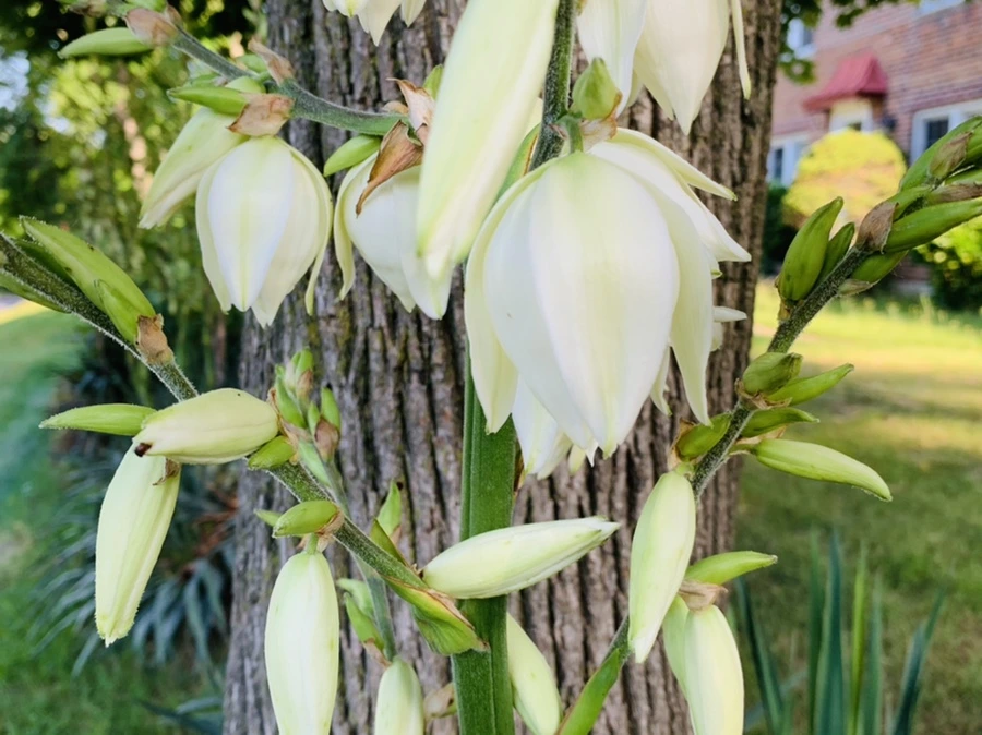 IMG_5324.jpg?type=w966