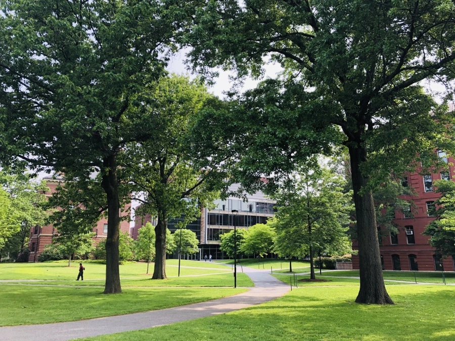 IMG_5419.jpg?type=w966