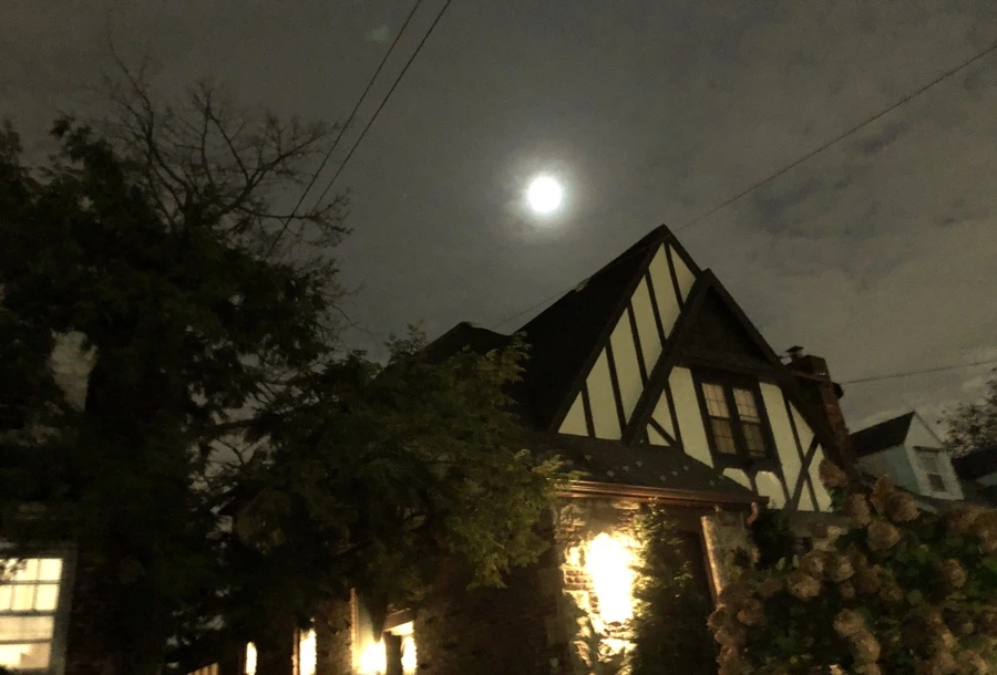 IMG_3113.jpg?type=w966