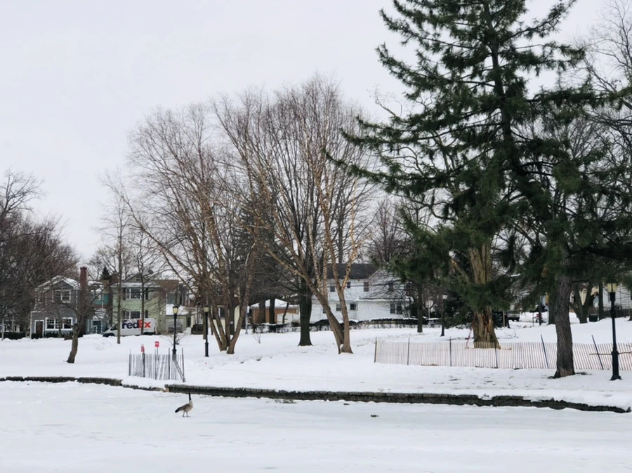 IMG_2732.jpg?type=w966