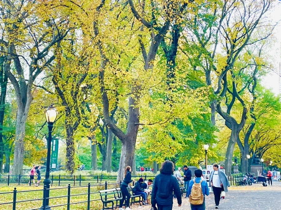 IMG_1479.jpg?type=w966