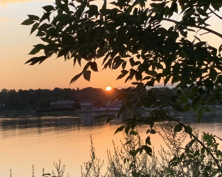 IMG_1262.jpg?type=w966