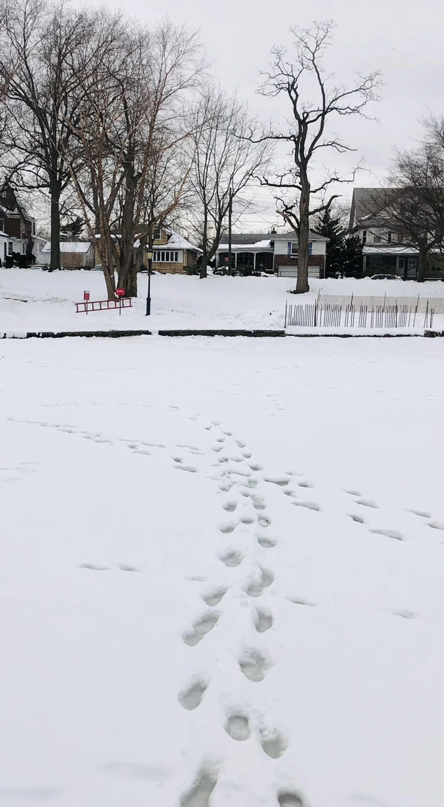 IMG_2607.jpg?type=w966