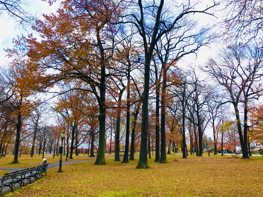 IMG_5453.jpg?type=w966