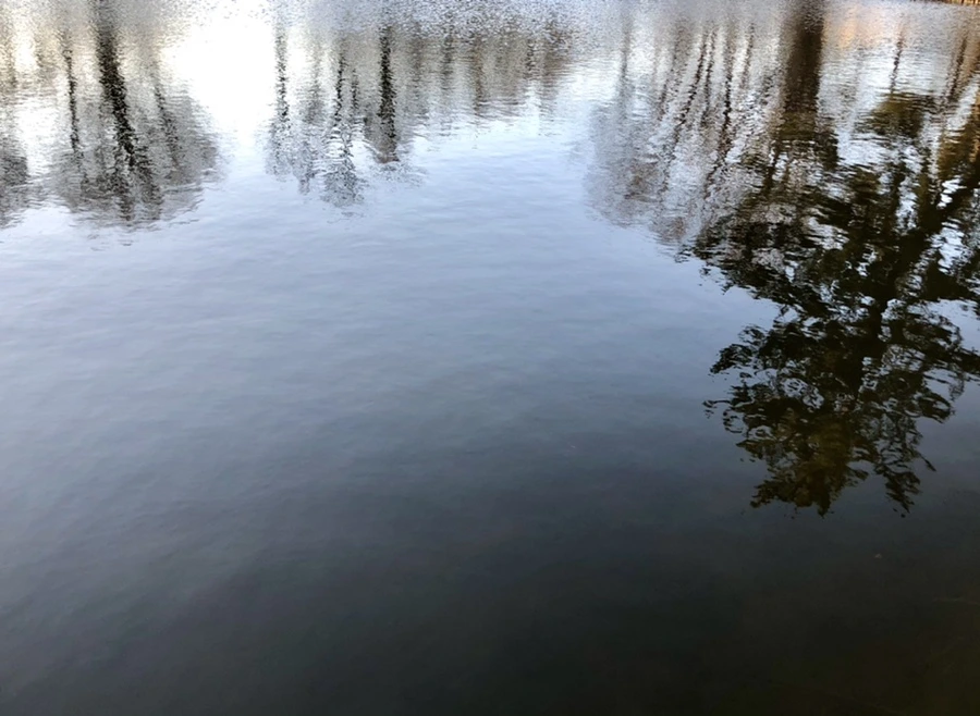 IMG_1116.jpg?type=w966