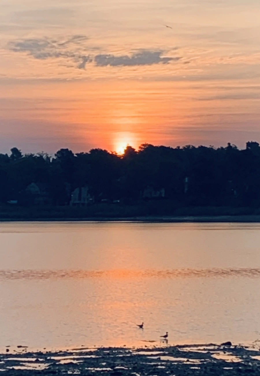 IMG_7679.jpg?type=w966