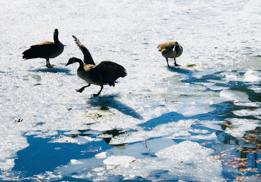 IMG_5041.jpg?type=w966