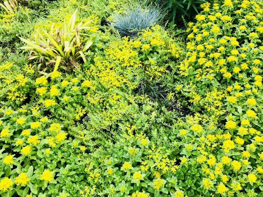 IMG_8395.jpg?type=w966