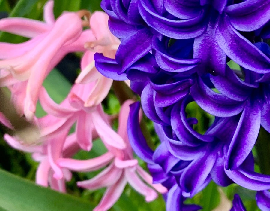 IMG_5873.jpg?type=w966