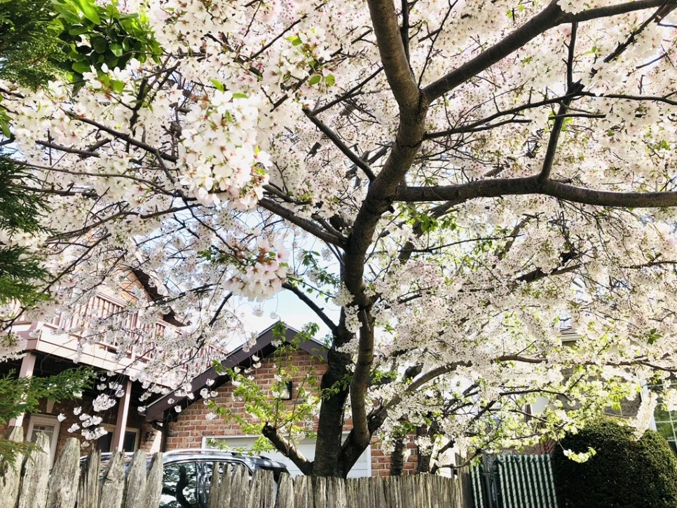 IMG_3193.jpg?type=w966