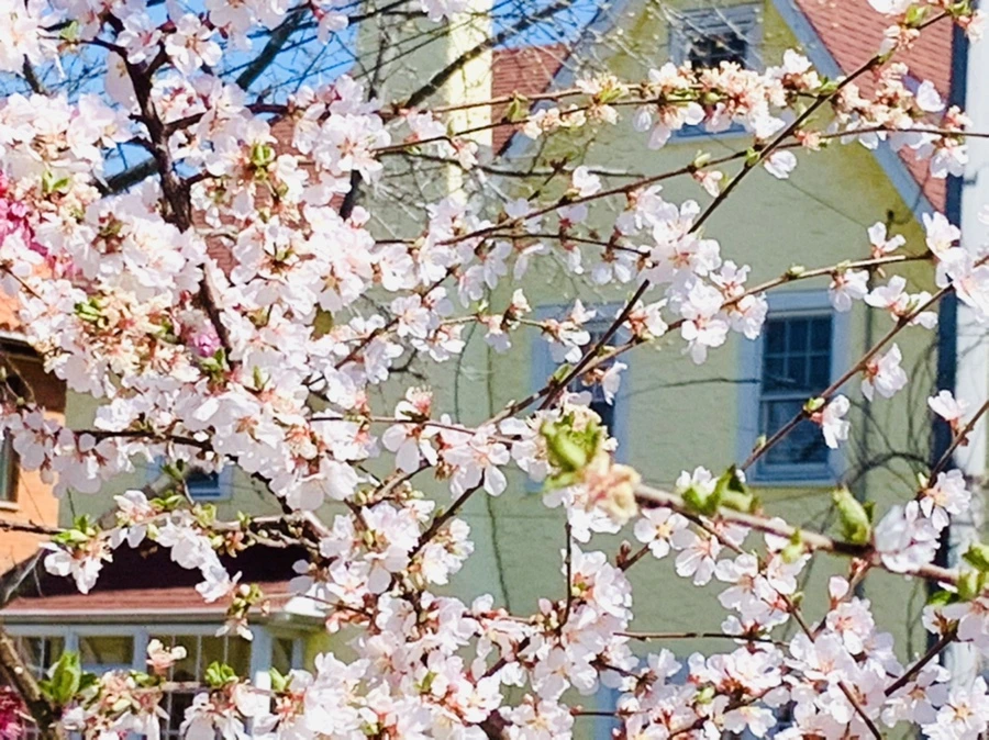 IMG_8080.jpg?type=w966