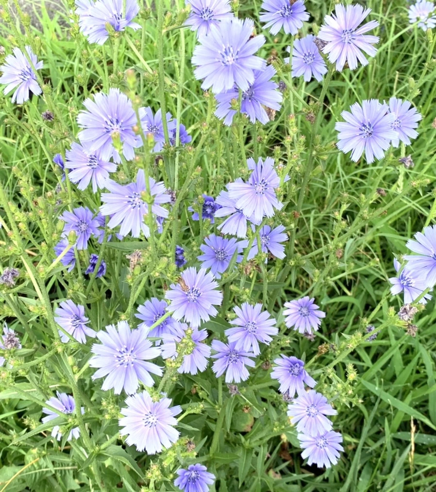 IMG_2273.jpg?type=w966