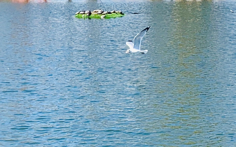 IMG_9300.jpg?type=w966