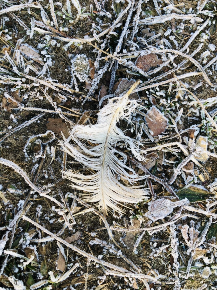 IMG_2214.jpg?type=w966