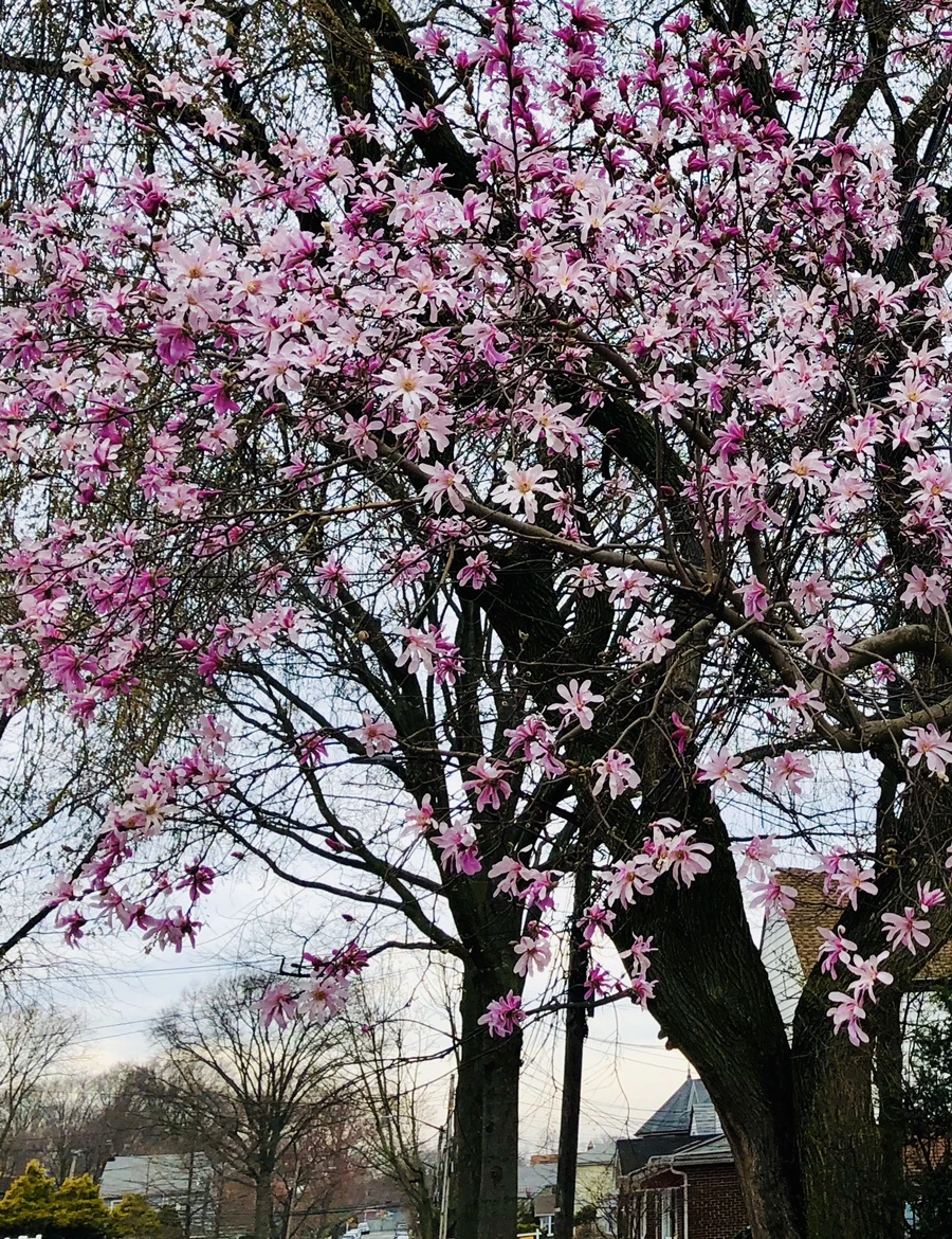 IMG_6529.jpg?type=w966