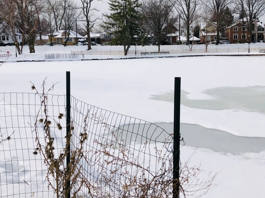 IMG_2167.jpg?type=w966