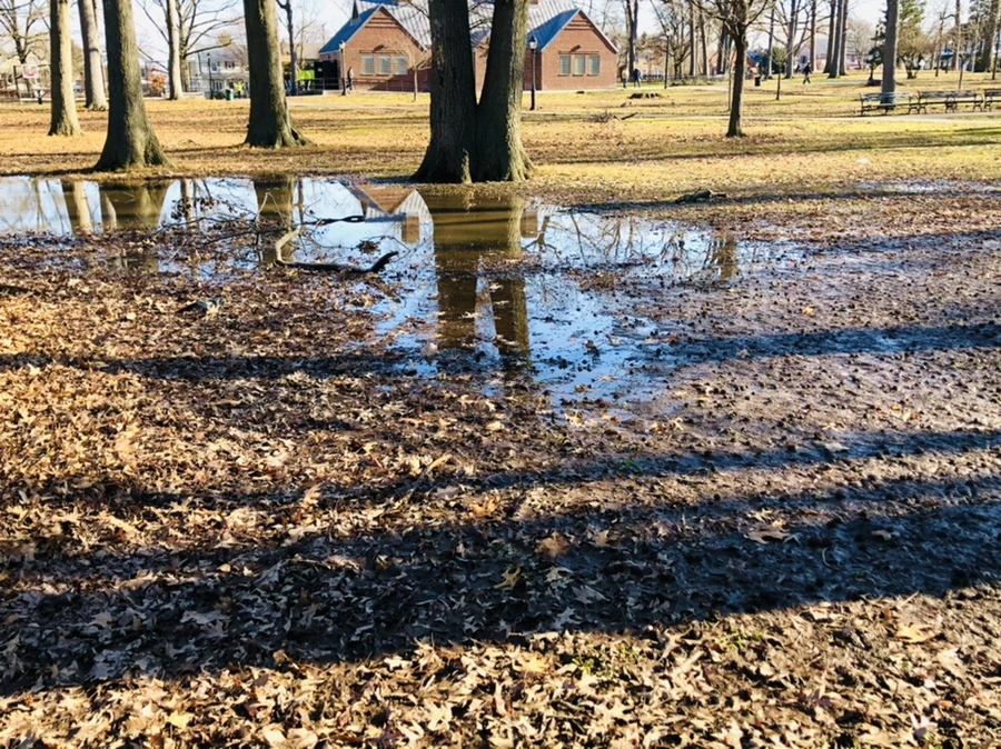 IMG_0256.jpg?type=w966