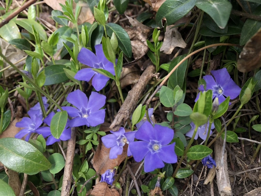 IMG_5994.jpg?type=w966