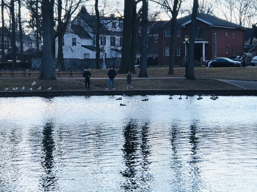 IMG_4201.jpg?type=w966