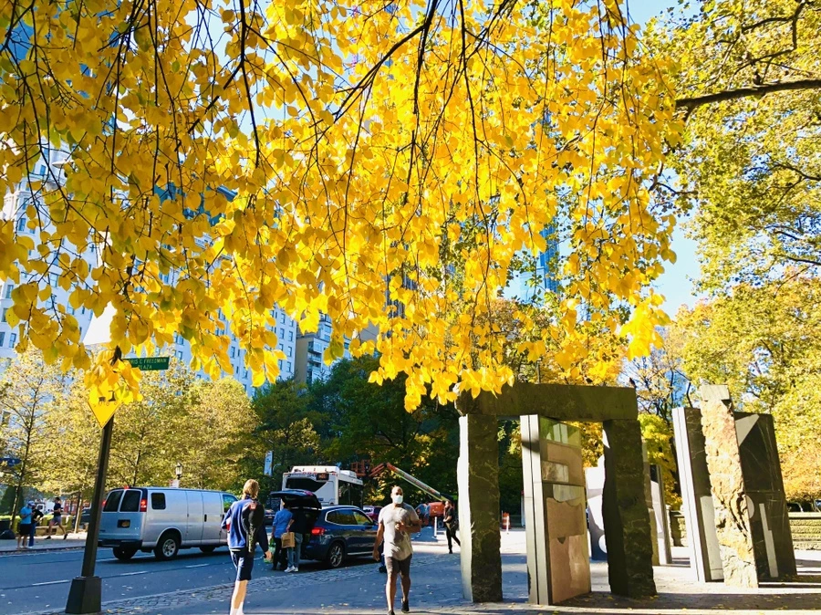 IMG_3741.jpg?type=w966