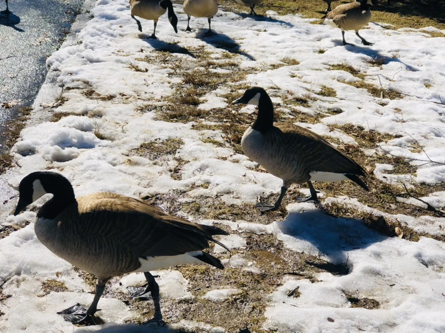 IMG_4860.jpg?type=w966