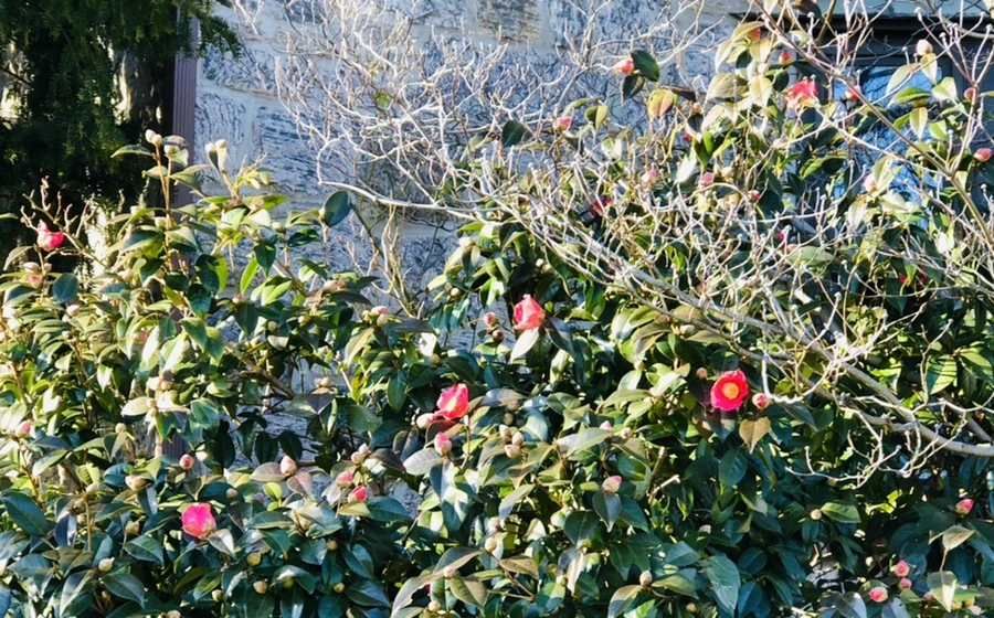 IMG_0333.jpg?type=w966