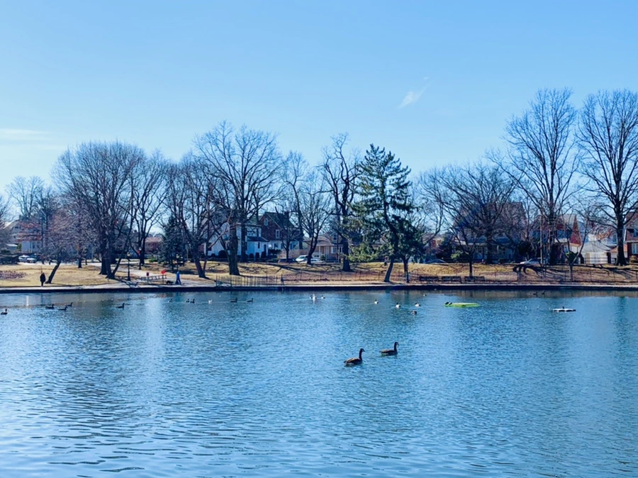 IMG_8894.jpg?type=w966