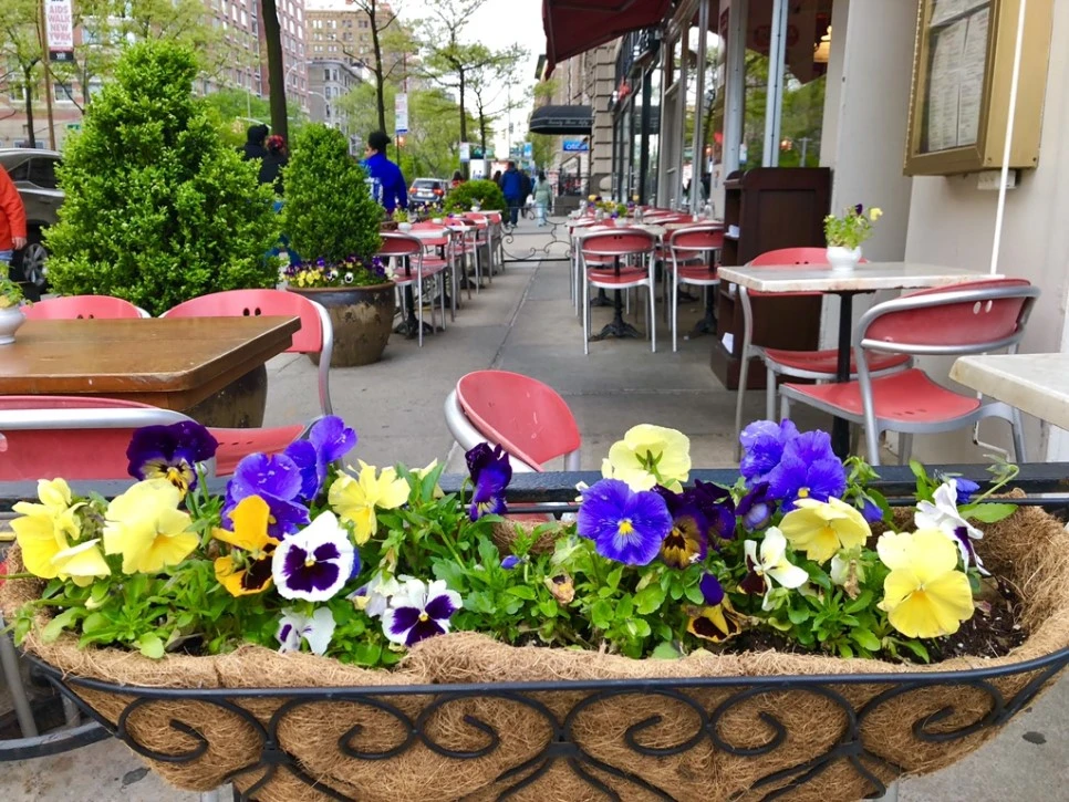 IMG_3900.jpg?type=w966