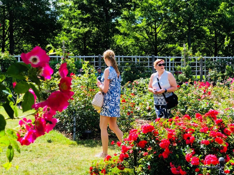 IMG_7792.jpg?type=w966