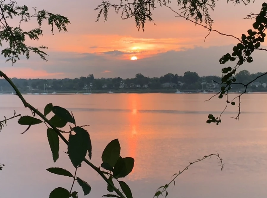 IMG_0215.jpg?type=w966