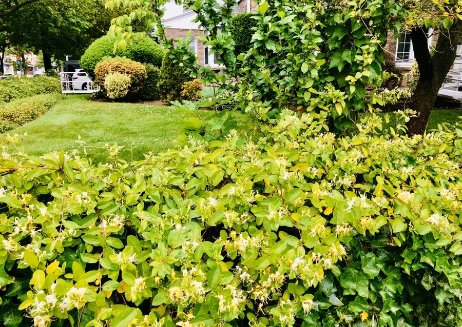 IMG_8197.jpg?type=w966