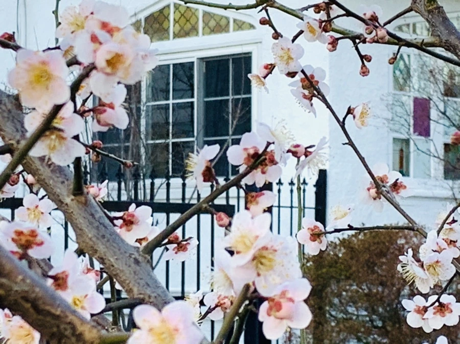 IMG_0866.jpg?type=w966