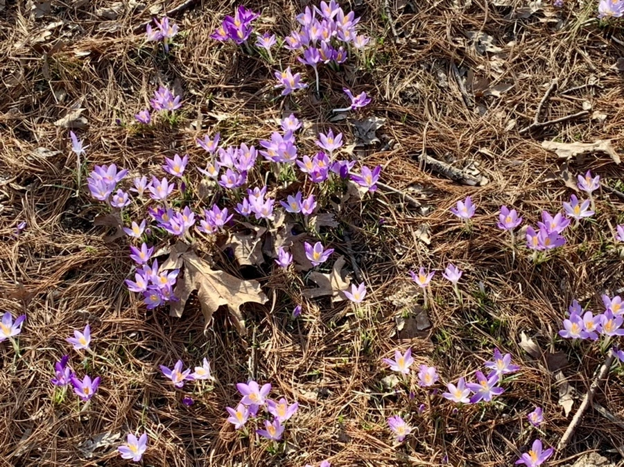 IMG_0413.jpg?type=w966