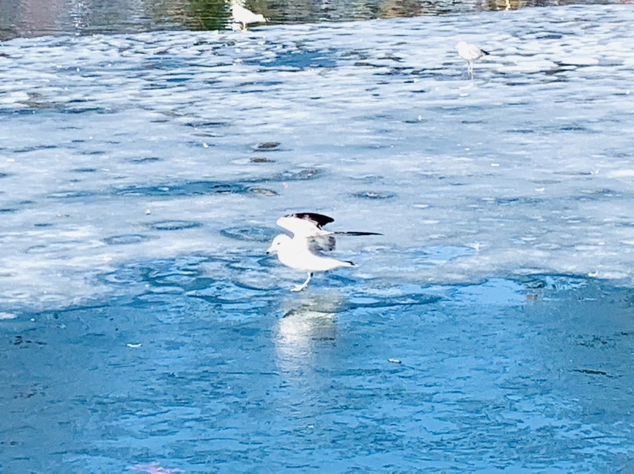 IMG_6980.jpg?type=w966