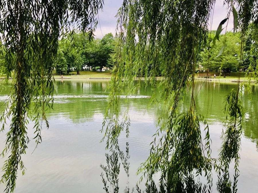 UIcKai-o1E8c8Uk81PwYQ8SJs_w