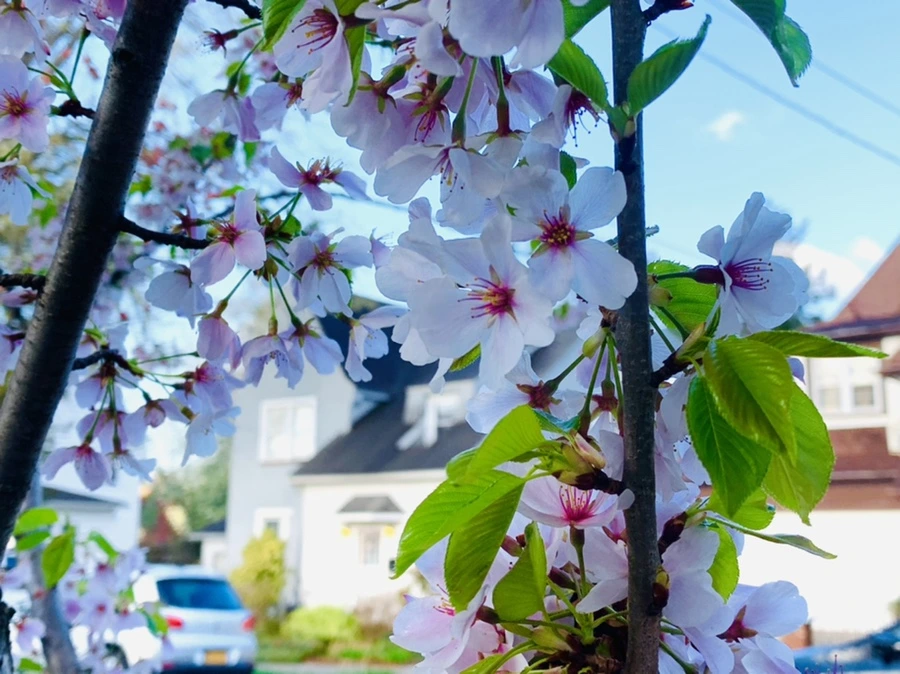 IMG_2628.jpg?type=w966